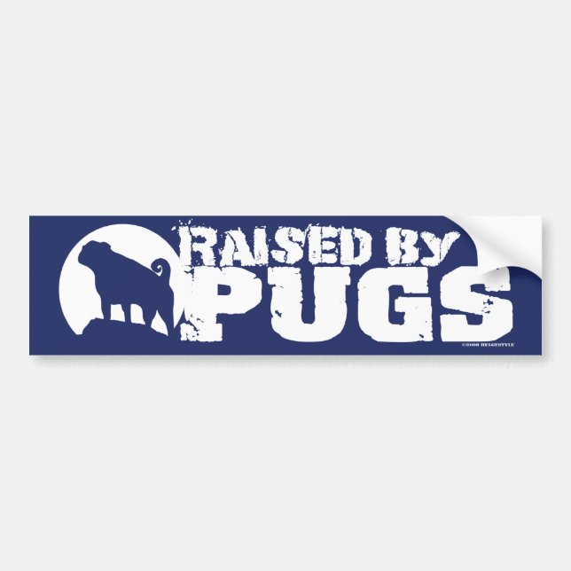 RAISED BY PUGS Blue Bumper Sticker (Front)