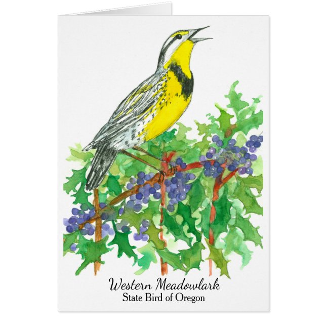 Raisin de l'Oregon de l'Oregon de Meadowlark occid (Devant)
