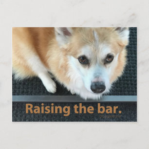 Raising de la carte postale Corgi Barre