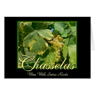 Raisins de cuve de Chasselas dans Mont-Sur-Rolle