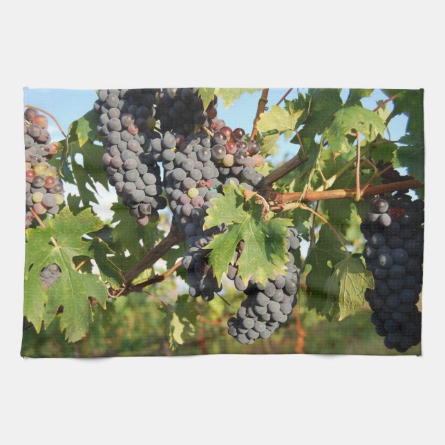 Raisins de cuve sur la serviette de cuisine de (Horizontal)