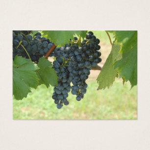 Raisins de vignoble