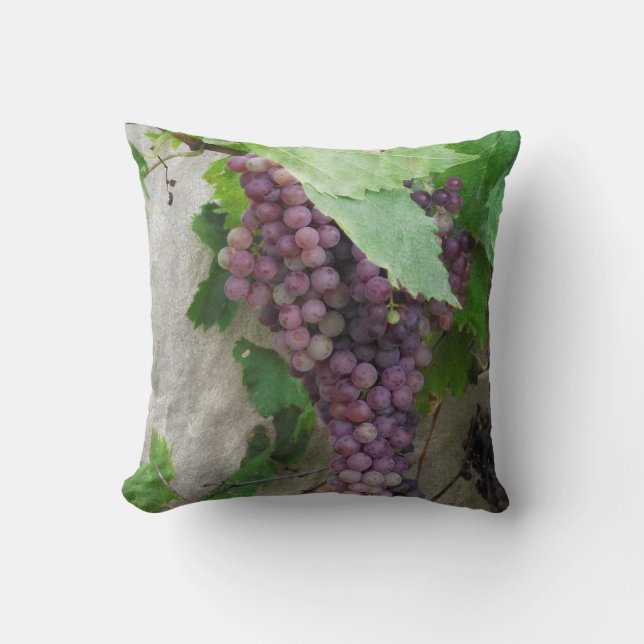 Raisins pourpres sur le coussin de vigne (Recto)