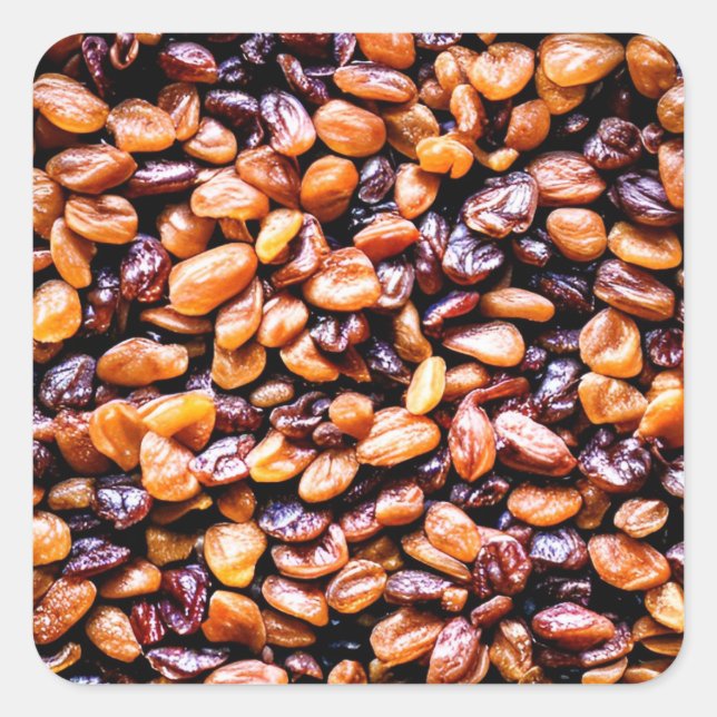 Raisins Square Sticker (Front)