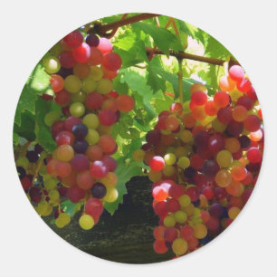 Raisins Sur Un Sticker À Vins