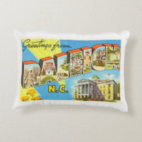 Raleigh North Carolina NC Vintage Travel Postcard-