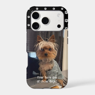 Ralphie the Teacup Yorkie One of Those Days