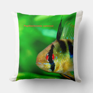 Ram Cichlid , Papiliochromis ramirezi Throw Pillow