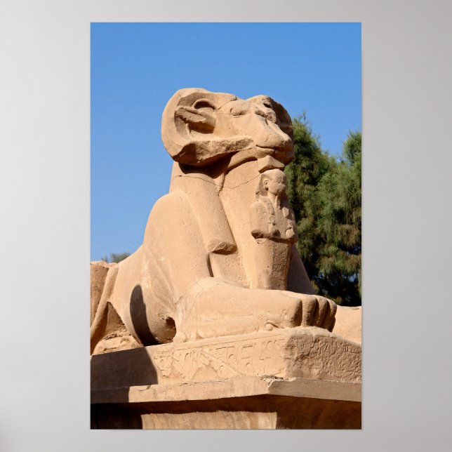 Ram-headed Sphinx in Karnak Temple - Egypt Poster (Front)