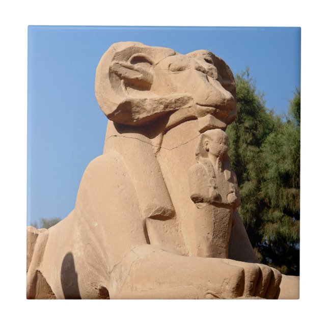Ram-headed Sphinx in Karnak Temple - Egypt Tile (Front)