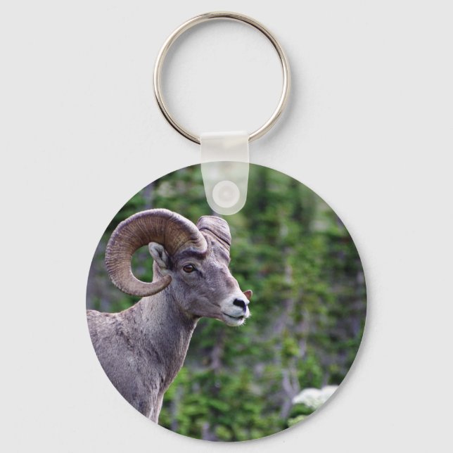 Ram in a Field Keychain (Front)