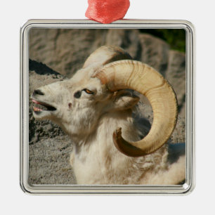 Ram or Bighorn Sheep Laughing Metal Ornament