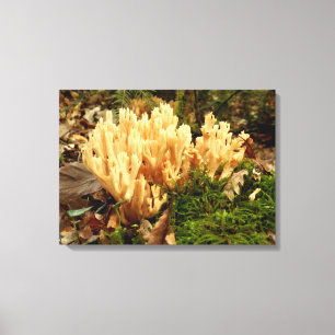Ramaria stricta Fungi Canvas Print
