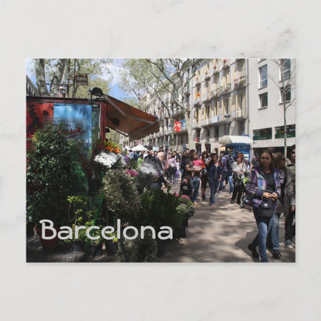 Rambla, Barcelona Postcard (Front)