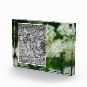 Rambling Wild White Roses Add Your Own  Photo Block
