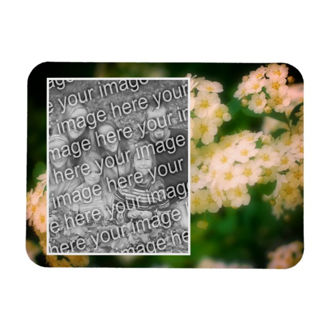 Rambling Wild White Roses Add Your Photo Magnet (Horizontal)