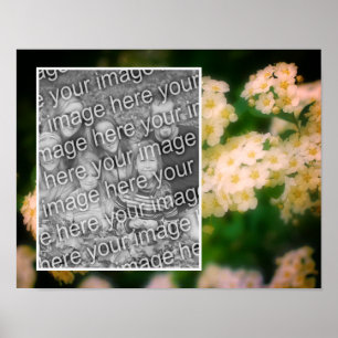 Rambling Wild White Roses Add Your Photo Poster