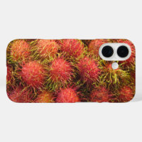 Rambutan Tropical Fruit