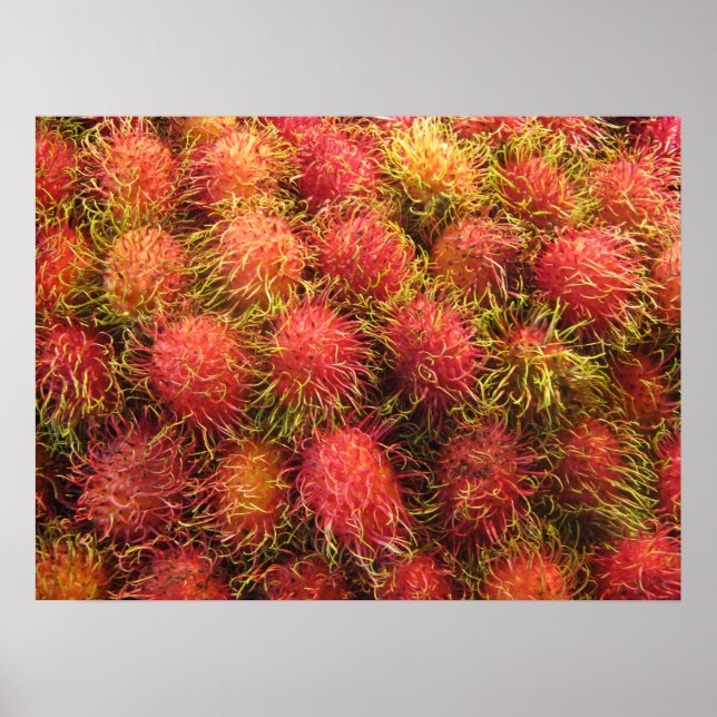 Rambutan Tropical Fruit Poster (Front)