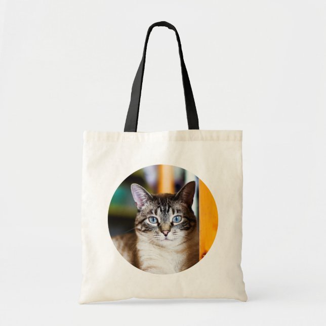 Rami complètement de sac fourre-tout à chat (Devant)