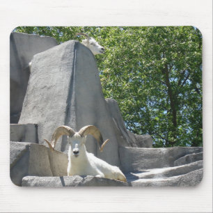 rams mouse pad