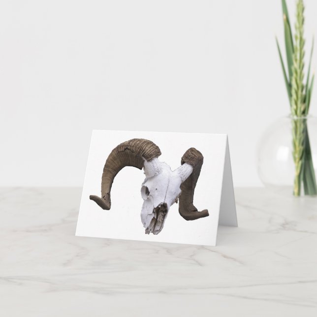 ramshead thank you card (Front)