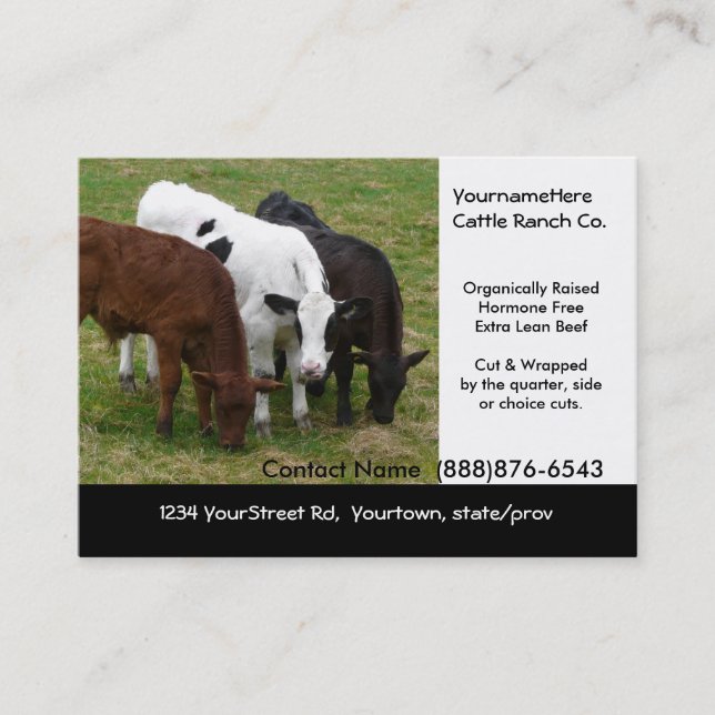 Ranch de boeuf de bétail ou carte de visite (Devant)