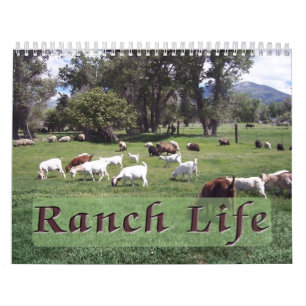 Ranch Life at the Blackman Ranch Calendar