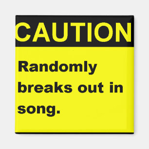 Randmon Song Magnet