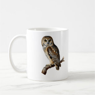 “Randolph” - A Watchful Silence, An Owl’s Portrait Coffee Mug