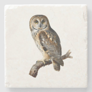 “Randolph” - A Watchful Silence, An Owl’s Portrait Stone Coaster