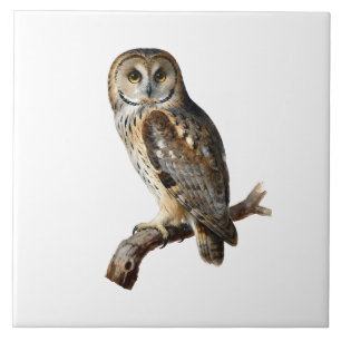 “Randolph” - A Watchful Silence, An Owl’s Portrait Tile