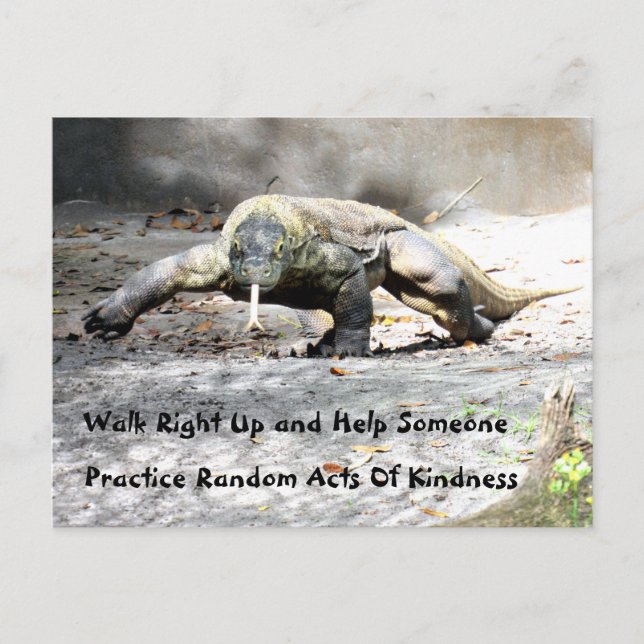 Random Acts of Kindness - Komodo Dragon (0751) Postcard (Front)