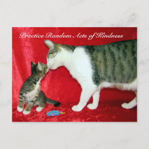 Random Acts of Kindness Postcard - Are You My Dad