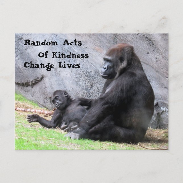 Random Acts of Kindness Postcard - Gorilla Family (Front)