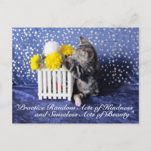 Random Acts of Kindness Postcard- Lilo 3809a Postcard