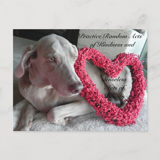 Random Acts of Kindness Postcard - Rain (Front)