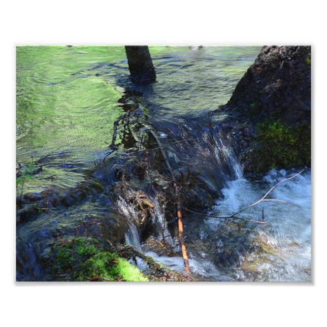 Random Beauty Photo Print (Front)