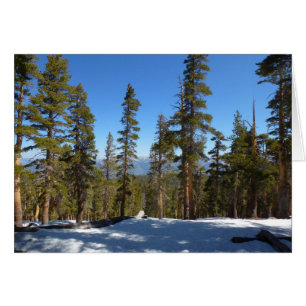 Randonnée de Mitchell Peak à Sequoia