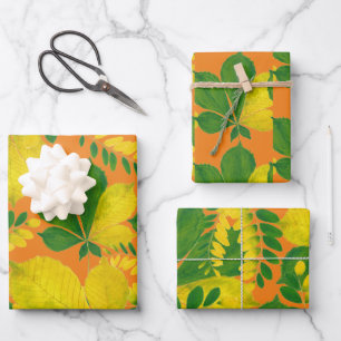 'Rang De Basanti' on a Wrapping Paper Set