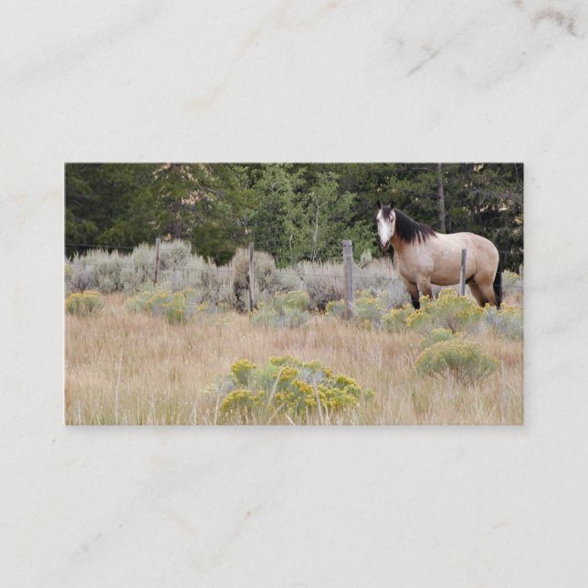 Range horse business card (Front)