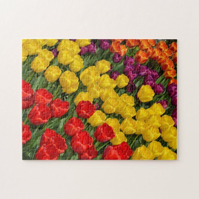 Rangées de tulipe de printemps colorées puzzle (Horizontal)