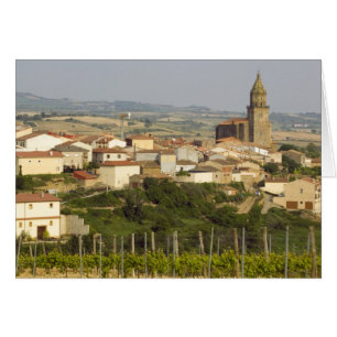 Rangées de vignes au premier plan cadre le