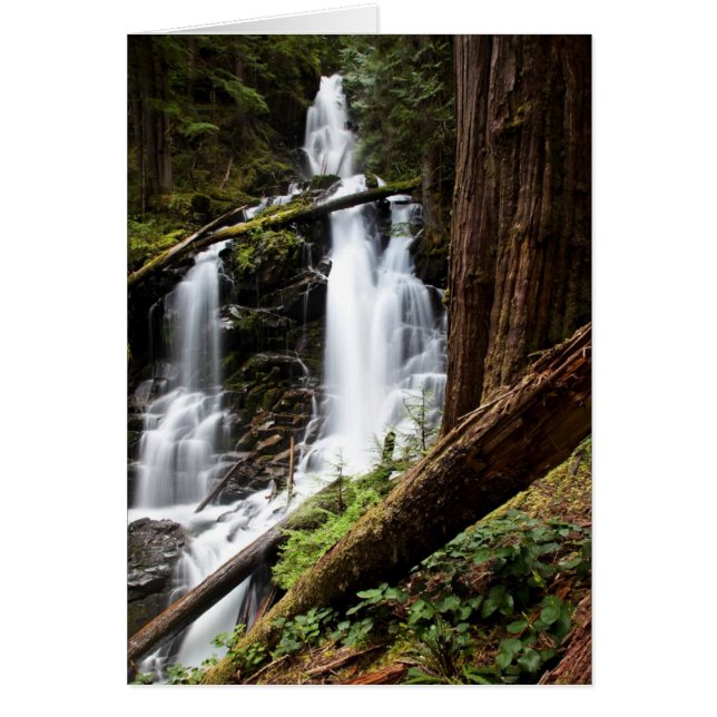 Ranger Falls (Front)