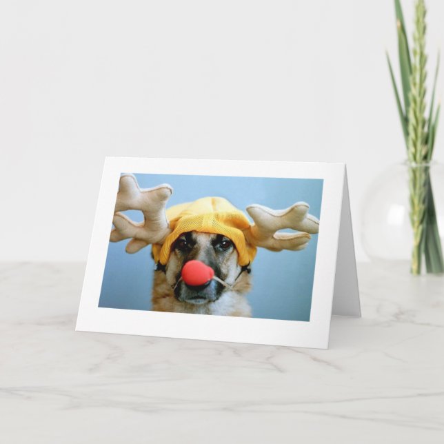 Ranger Greeting Card (blank inside) (Front)