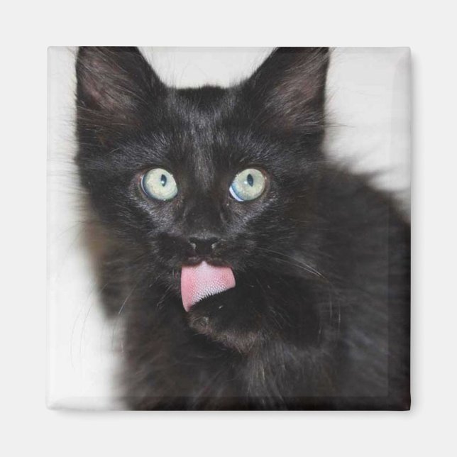 Ranger Kitten Nettoyant Aimant Paw (Devant)