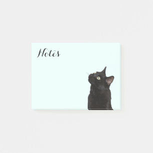 Ranger the Black Cat Post-it Notes