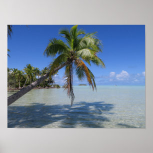 Rangiroa Blue Lagoon Tropical Palm Poster