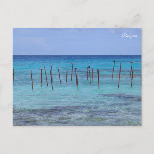 Rangiroa French Polynesia Holiday Postcard