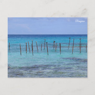 Rangiroa French Polynesia Postcard